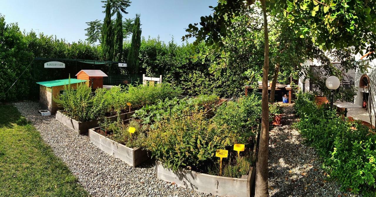 Masseria Urbana Crispiano Bagian luar foto
